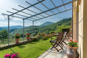Villa Porcigliano Olive Grove Borgo San Lorenzo